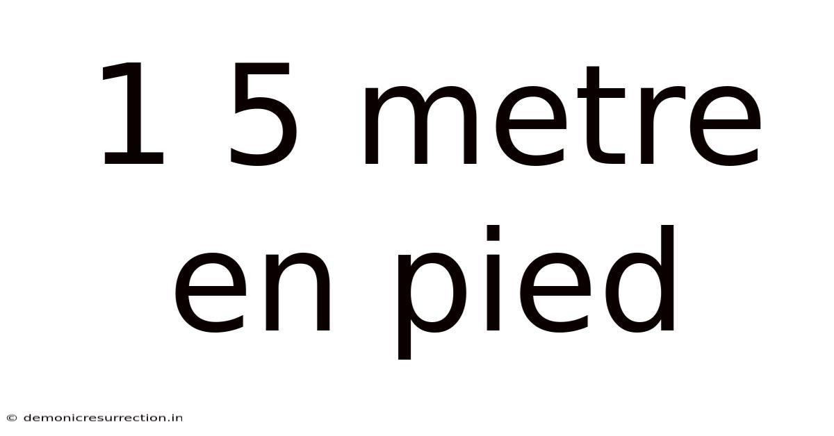 1 5 Metre En Pied