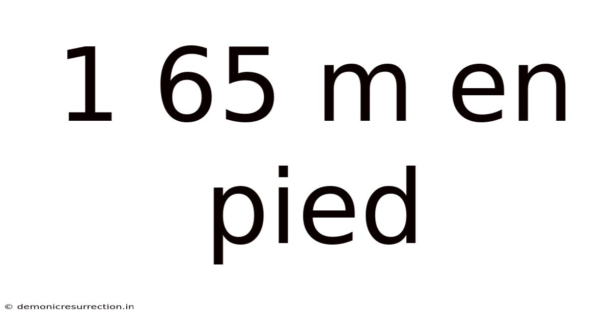 1 65 M En Pied