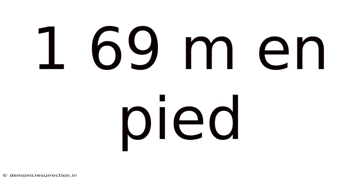 1 69 M En Pied