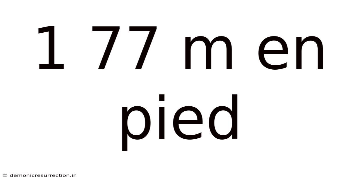 1 77 M En Pied