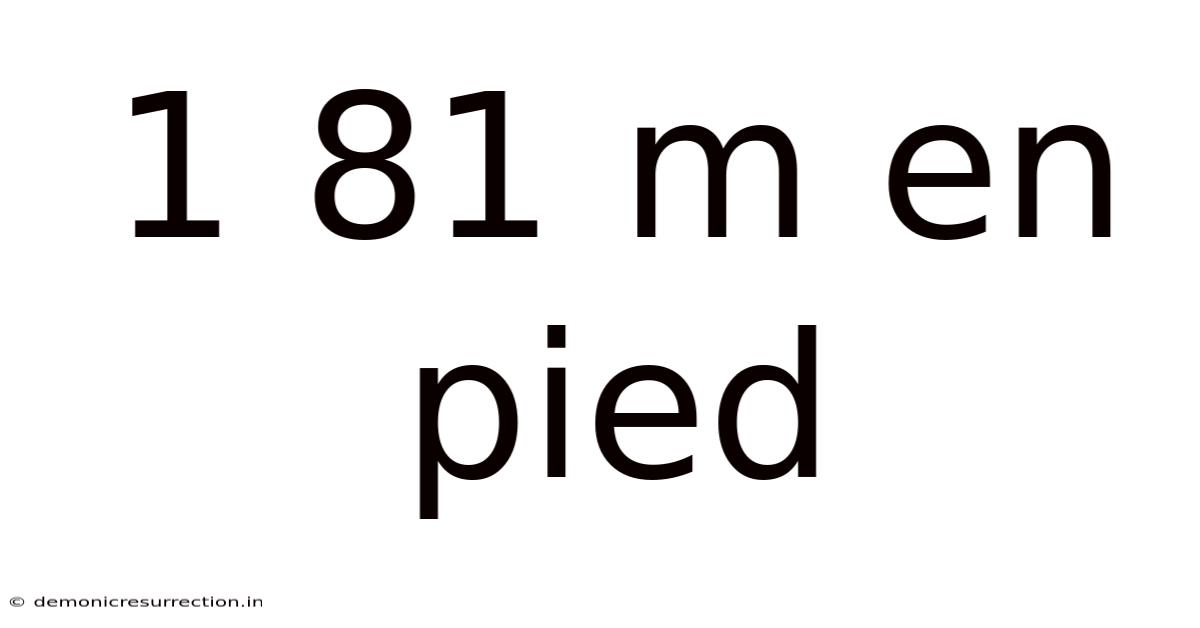 1 81 M En Pied