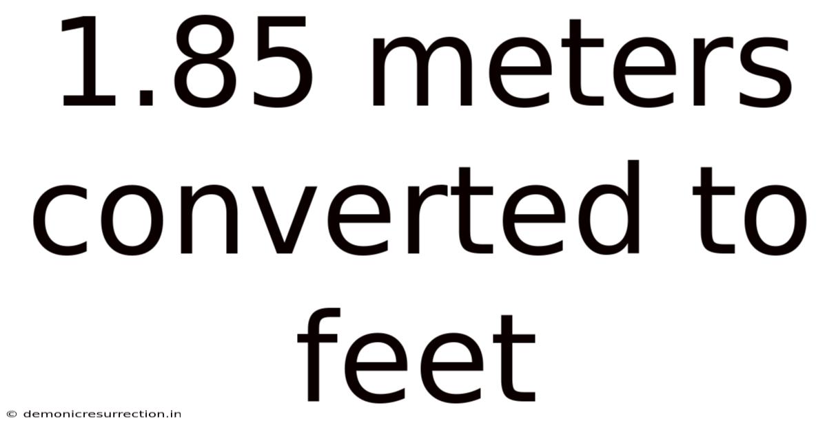 1.85 Meters Converted To Feet