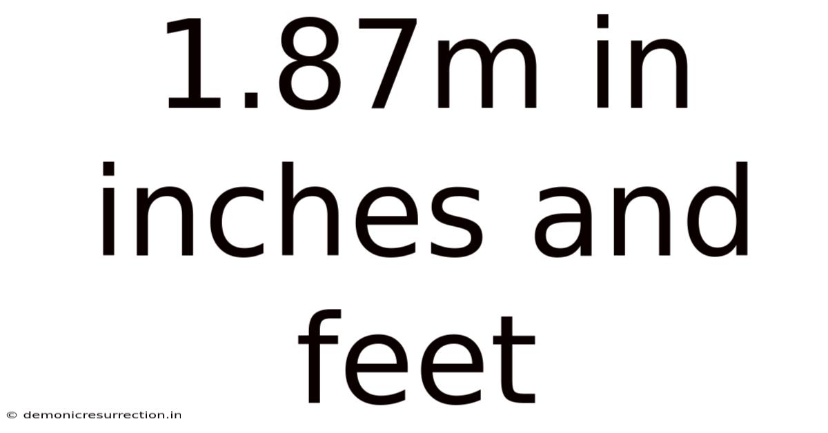1.87m In Inches And Feet