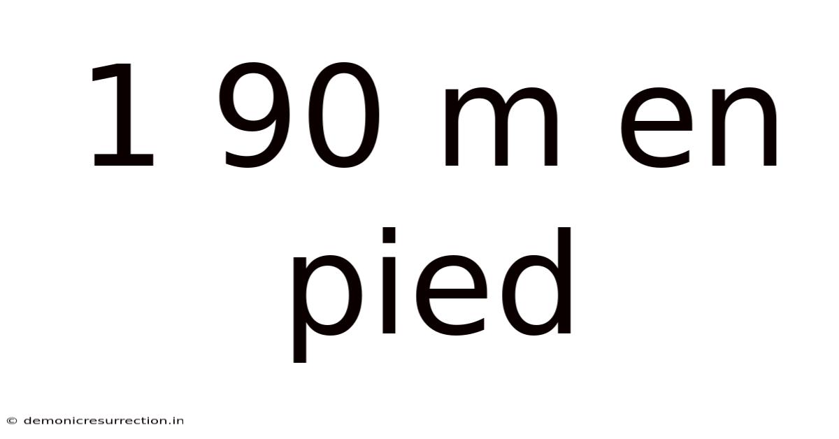 1 90 M En Pied