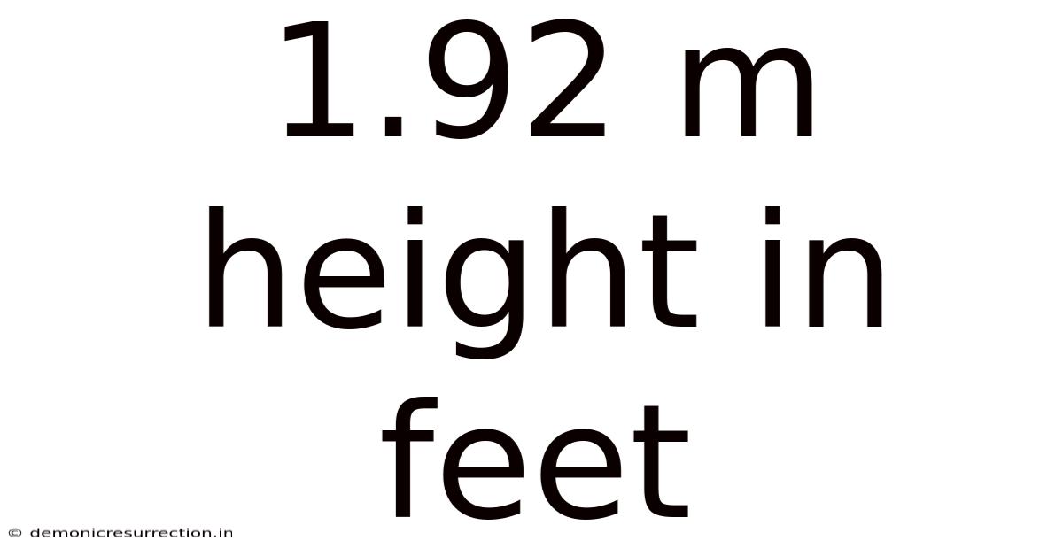 1.92 M Height In Feet