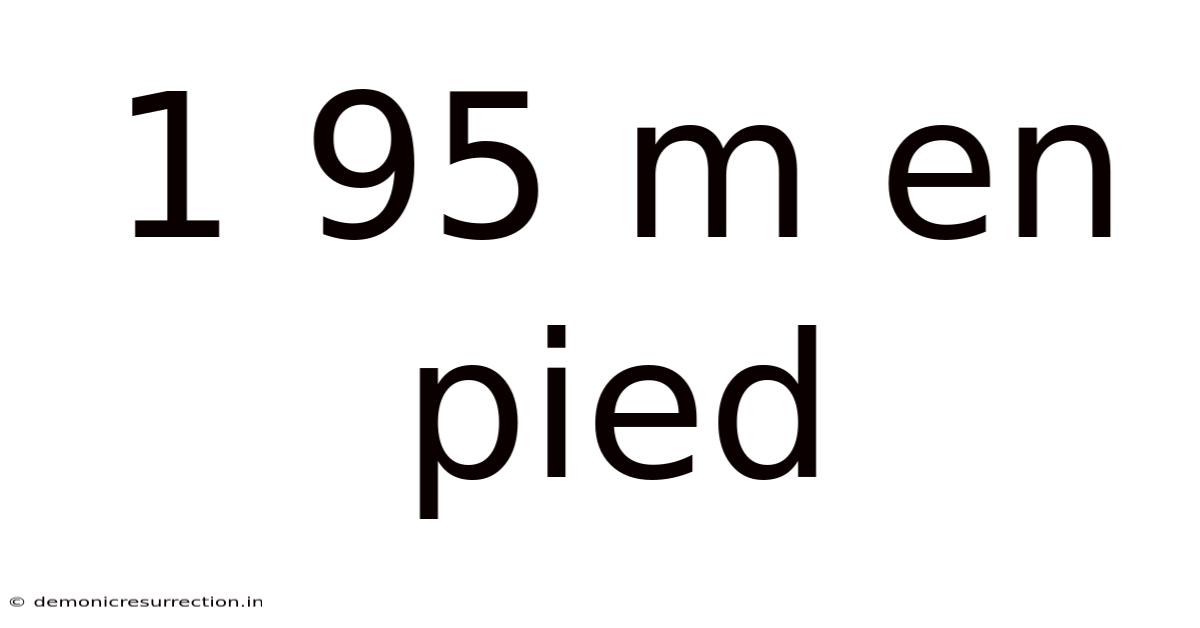 1 95 M En Pied