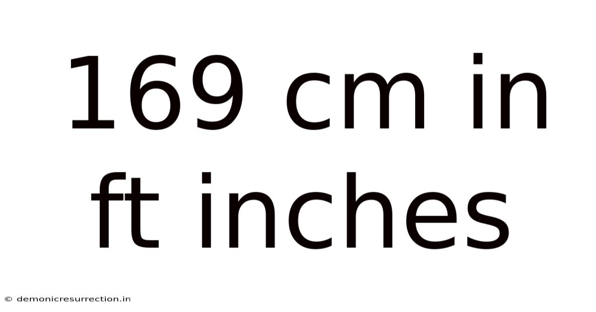 169 Cm In Ft Inches