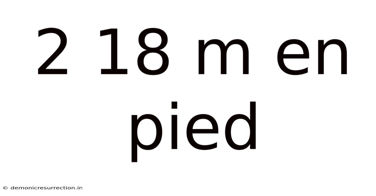 2 18 M En Pied