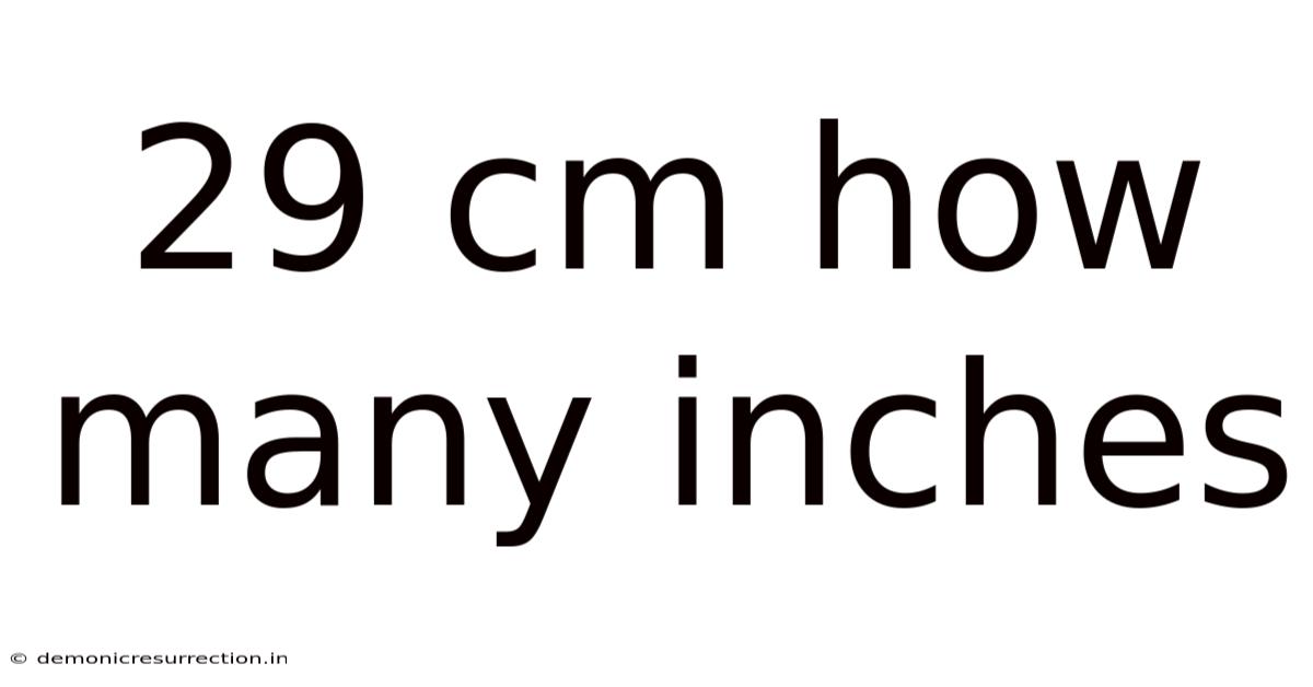 29 Cm How Many Inches