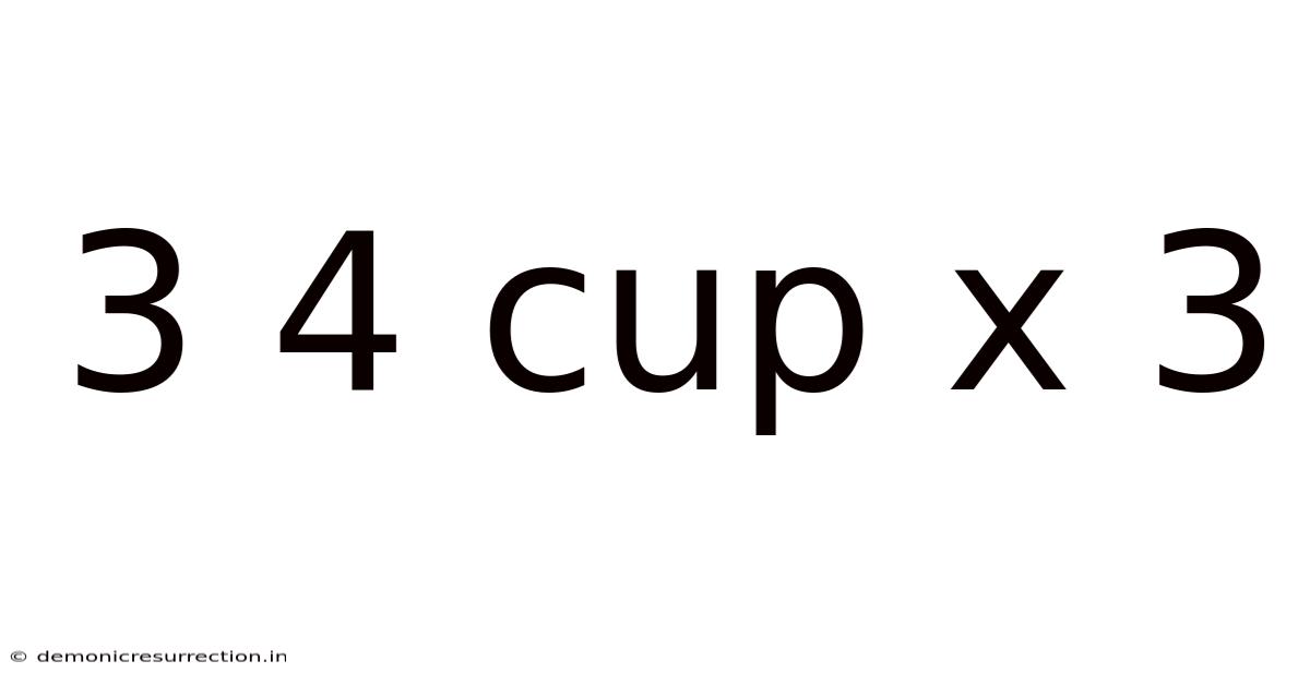 3 4 Cup X 3