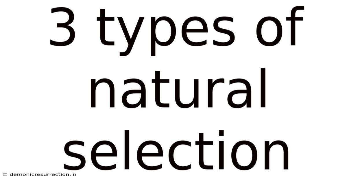 3 Types Of Natural Selection