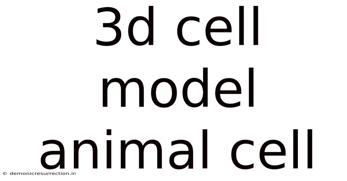 3d Cell Model Animal Cell