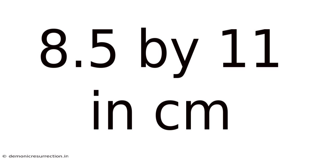 8.5 By 11 In Cm