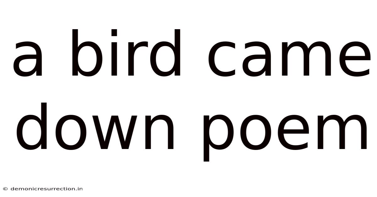 A Bird Came Down Poem