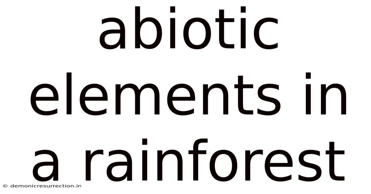 Abiotic Elements In A Rainforest
