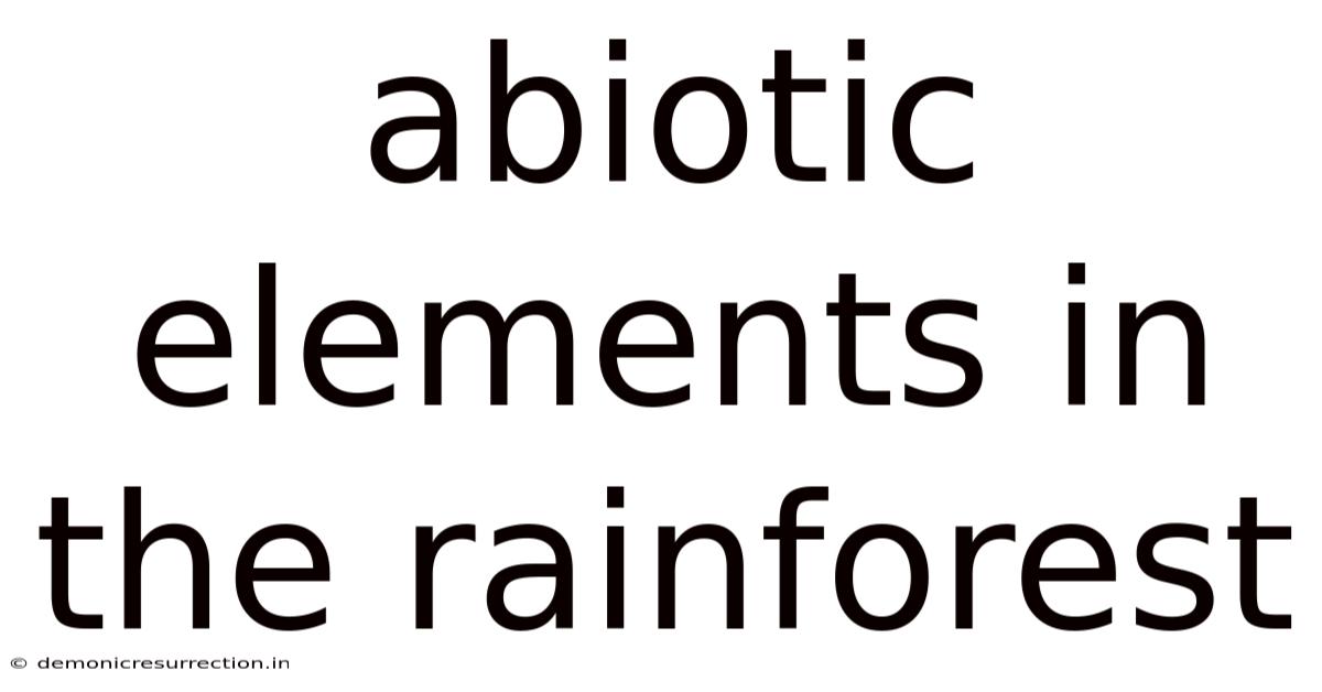 Abiotic Elements In The Rainforest