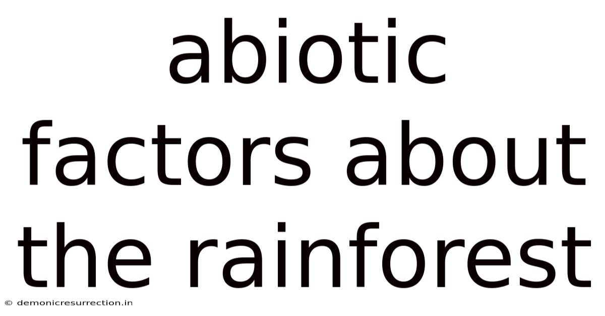 Abiotic Factors About The Rainforest