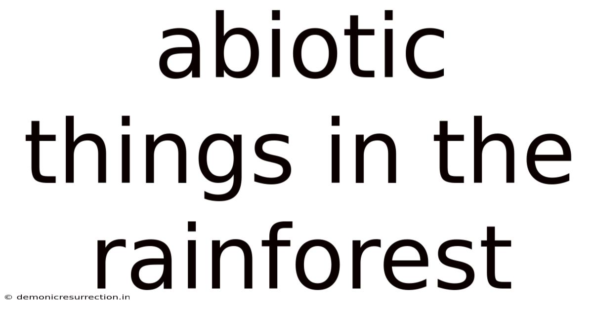 Abiotic Things In The Rainforest