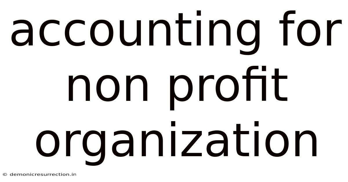 Accounting For Non Profit Organization