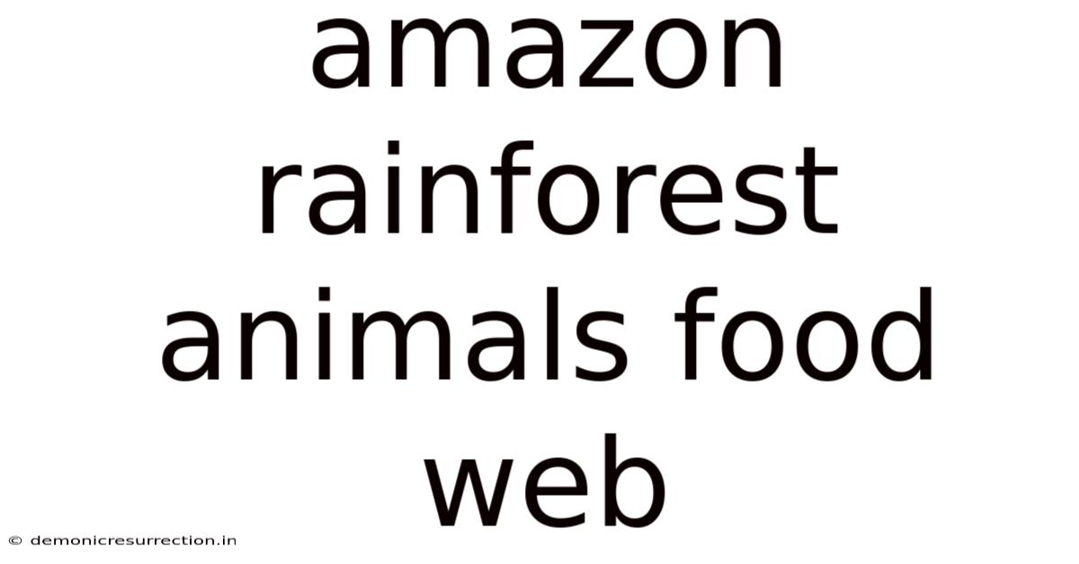 Amazon Rainforest Animals Food Web