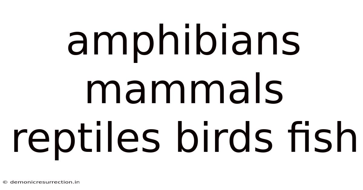 Amphibians Mammals Reptiles Birds Fish