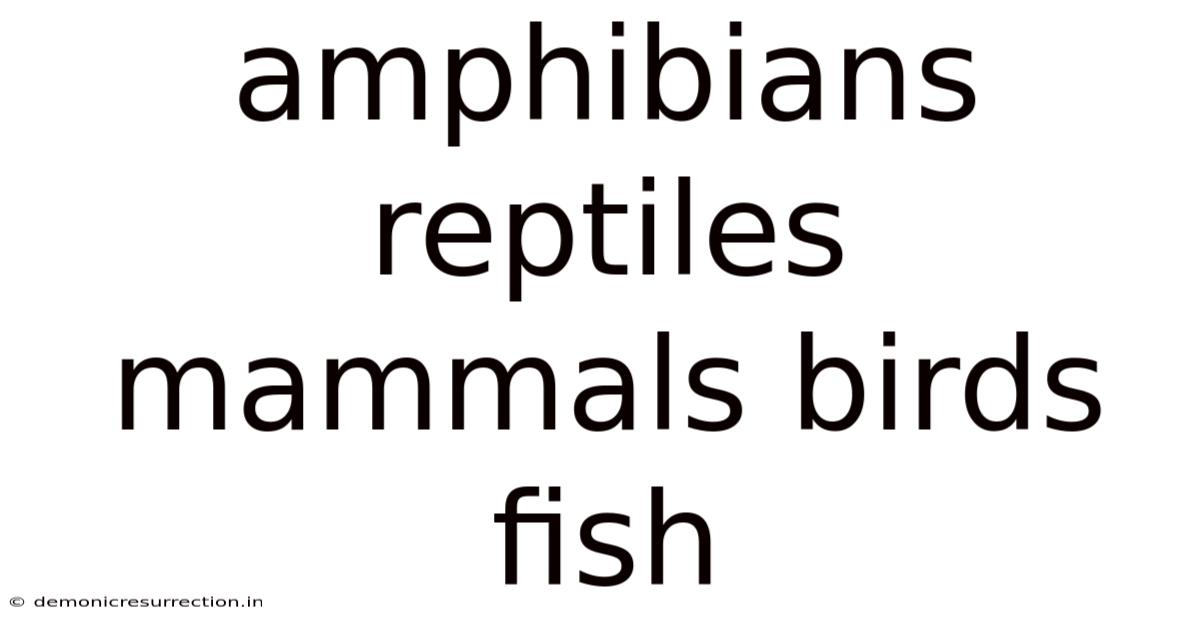 Amphibians Reptiles Mammals Birds Fish