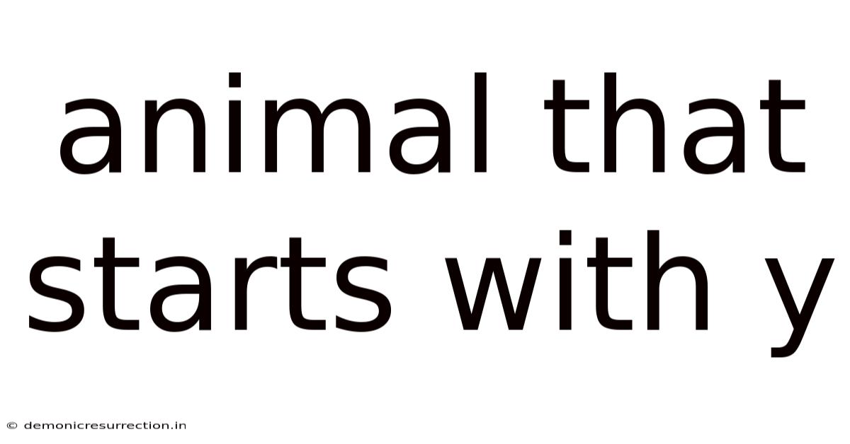 Animal That Starts With Y