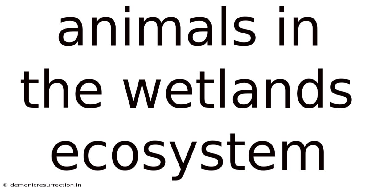 Animals In The Wetlands Ecosystem