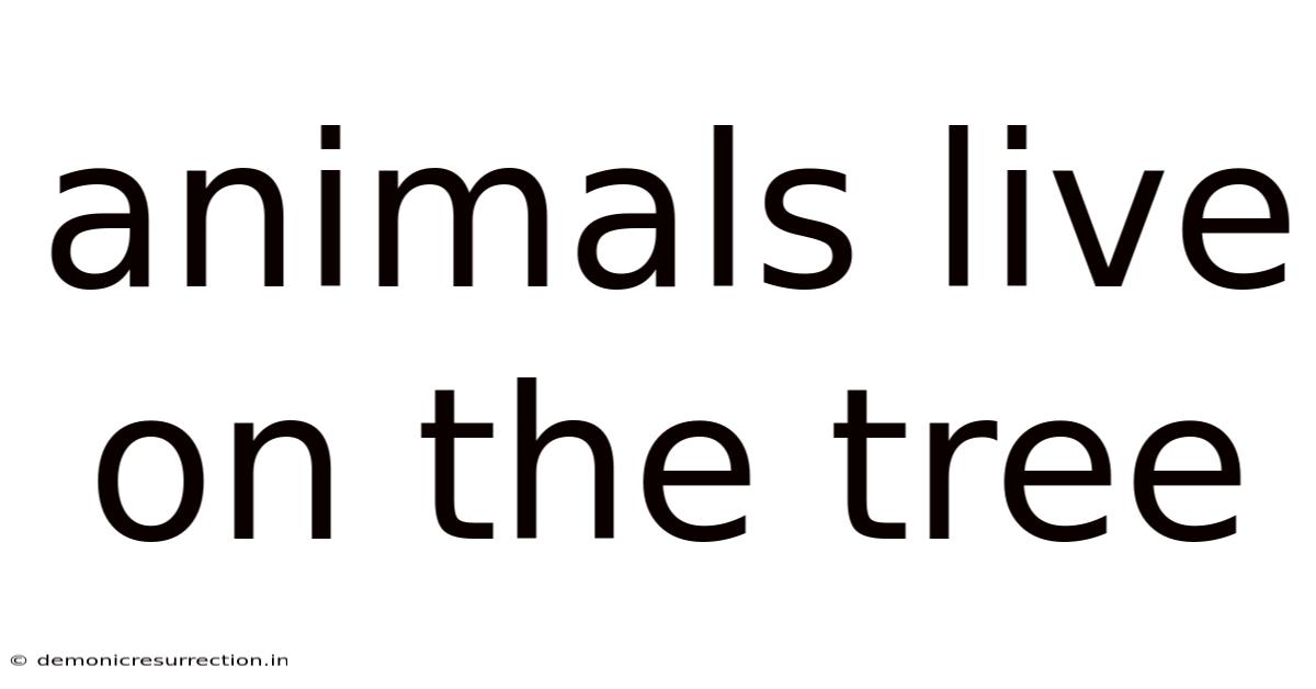 Animals Live On The Tree