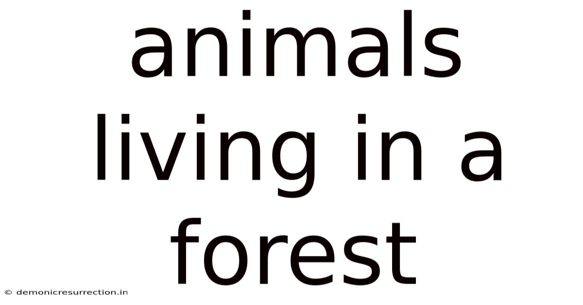 Animals Living In A Forest