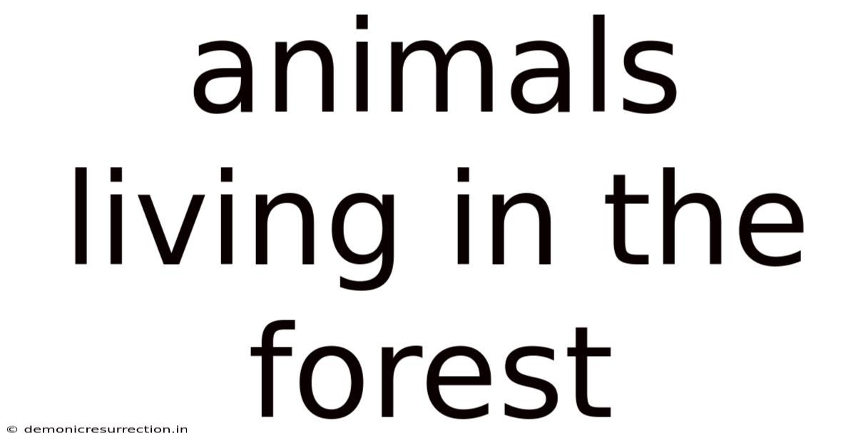 Animals Living In The Forest