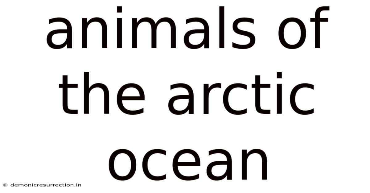Animals Of The Arctic Ocean