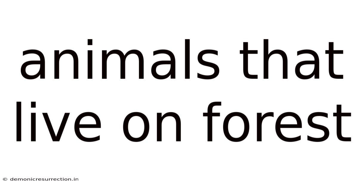 Animals That Live On Forest