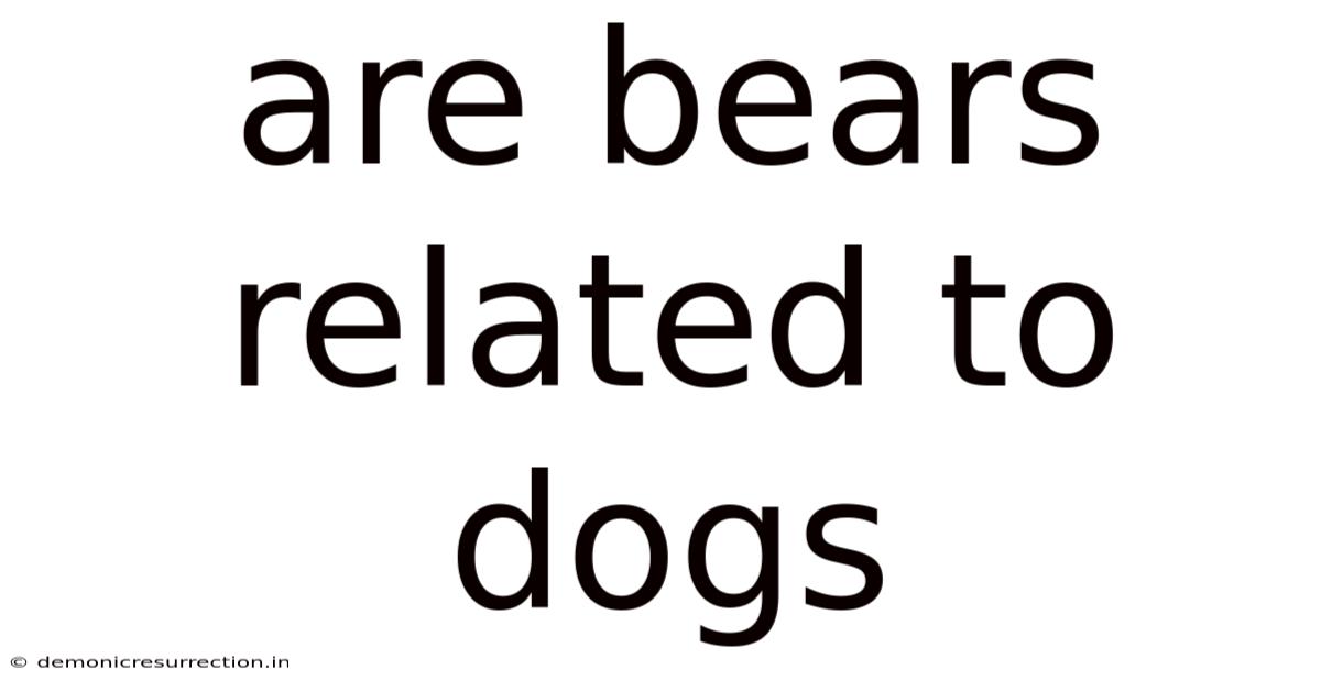 Are Bears Related To Dogs