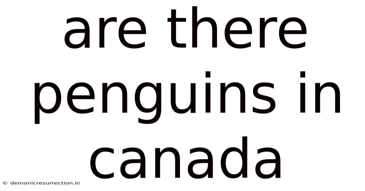 Are There Penguins In Canada