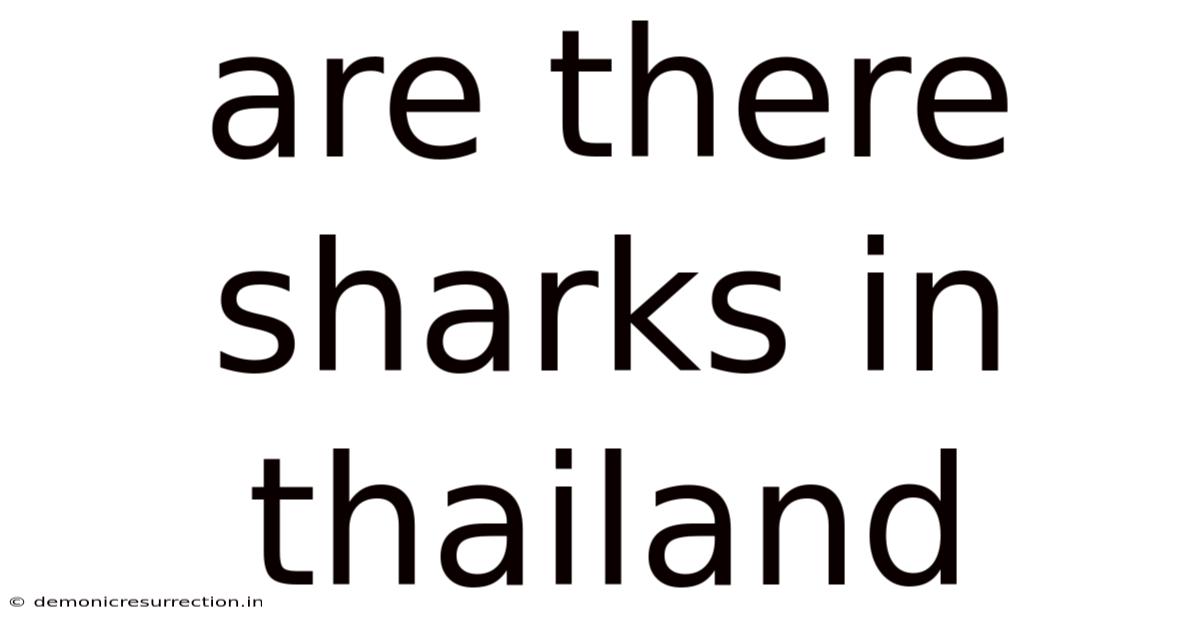 Are There Sharks In Thailand