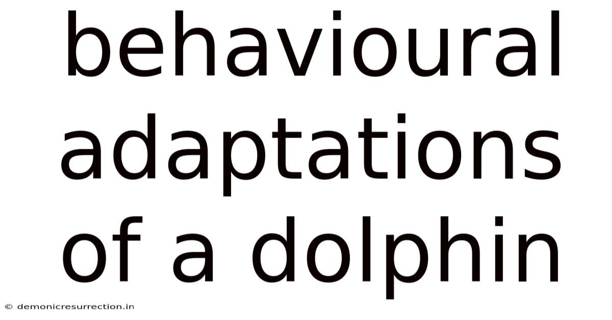 Behavioural Adaptations Of A Dolphin