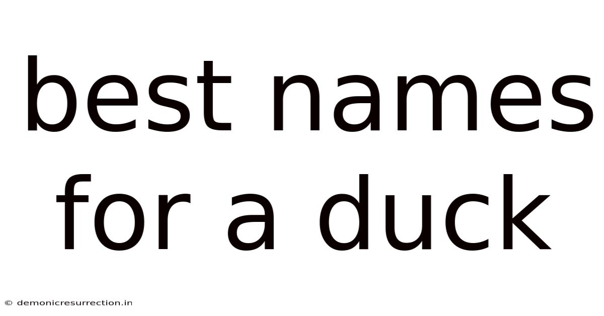 Best Names For A Duck