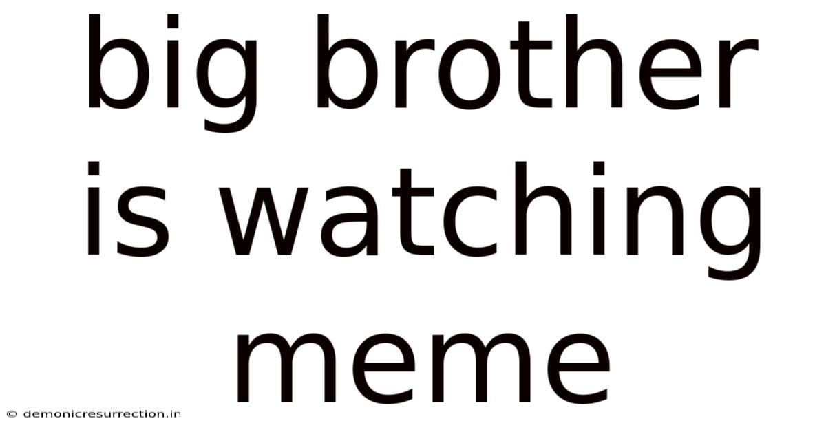 Big Brother Is Watching Meme