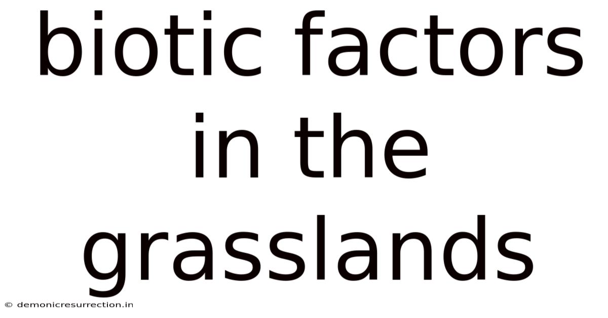 Biotic Factors In The Grasslands