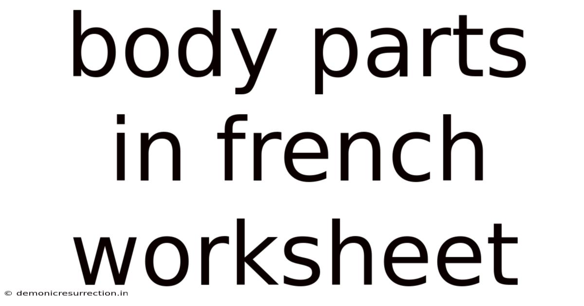 Body Parts In French Worksheet