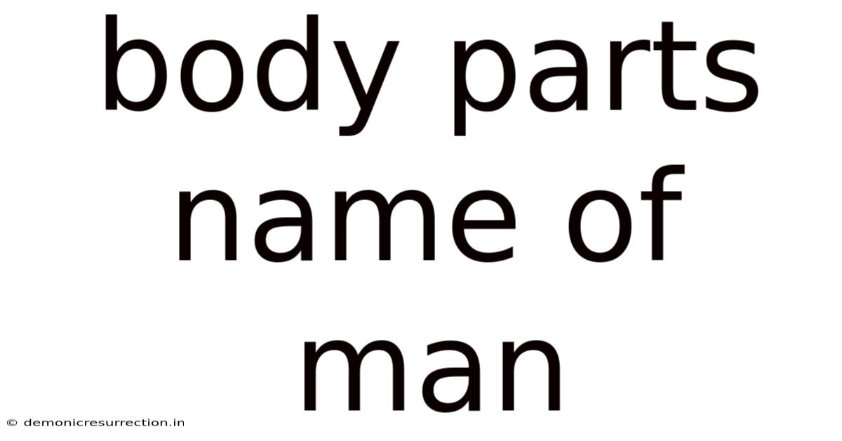 Body Parts Name Of Man
