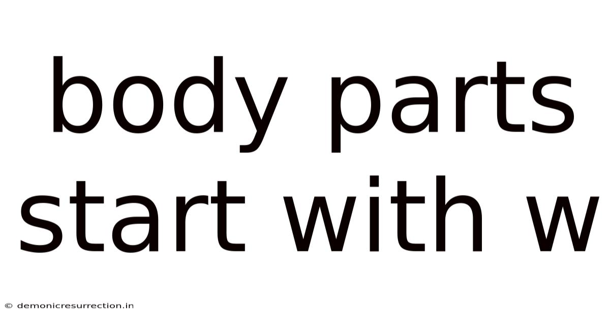 Body Parts Start With W