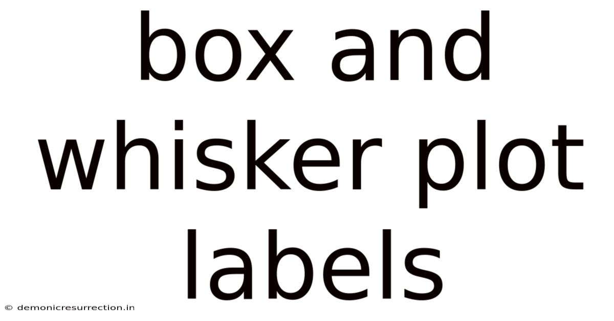Box And Whisker Plot Labels