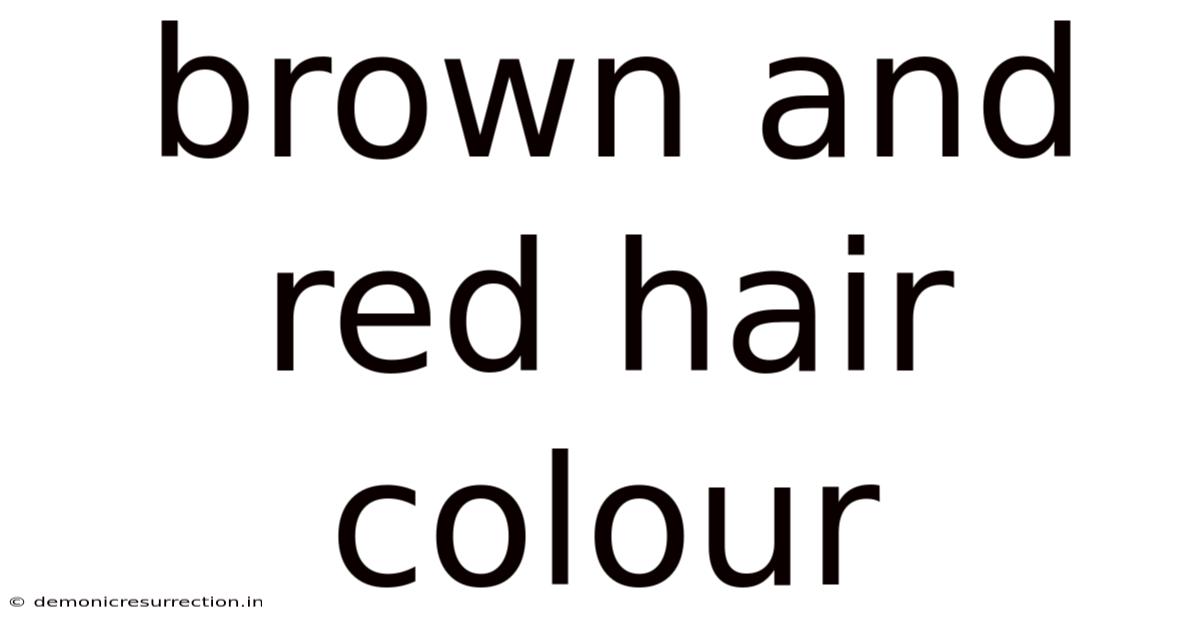 Brown And Red Hair Colour