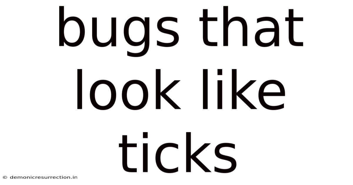 Bugs That Look Like Ticks