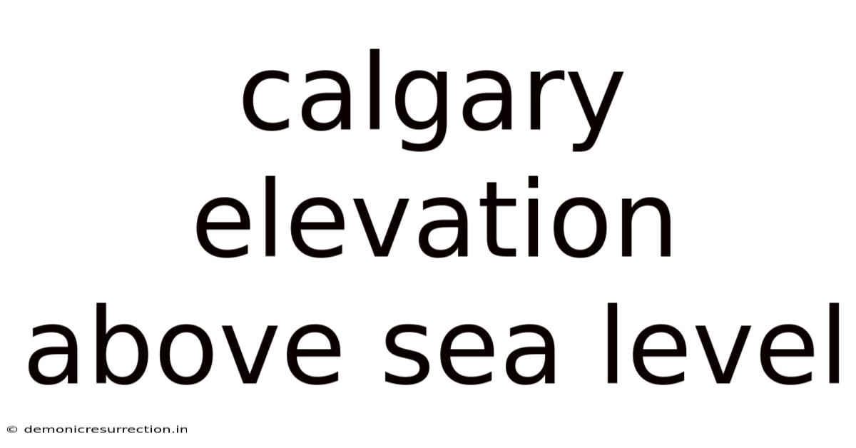 Calgary Elevation Above Sea Level