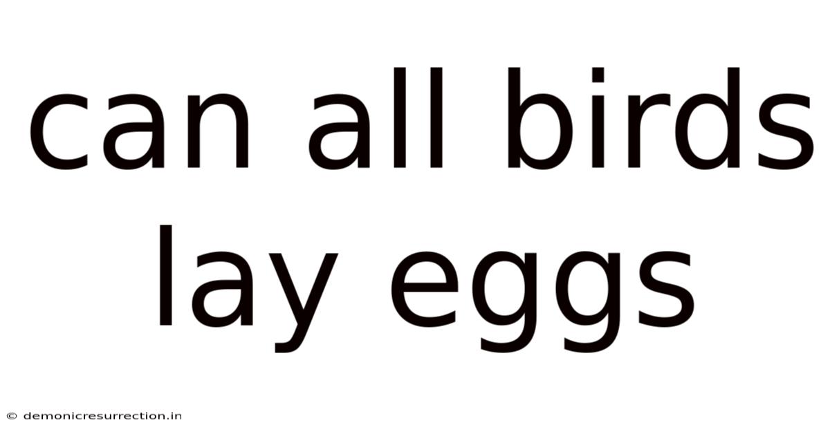 Can All Birds Lay Eggs
