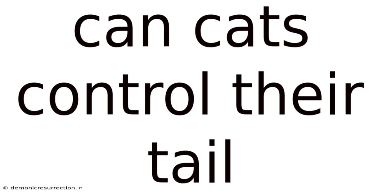 Can Cats Control Their Tail