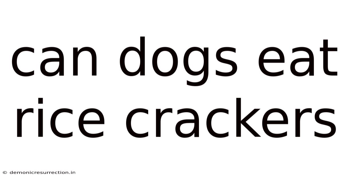 Can Dogs Eat Rice Crackers